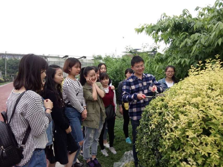 QQ图片20160517135228.jpg