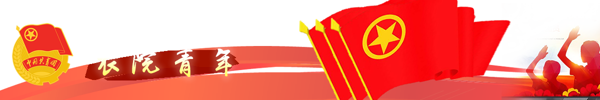 农院青年