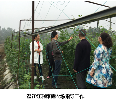 QQ截图20161027172136.png