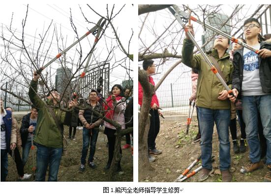 QQ截图20161229163719.jpg