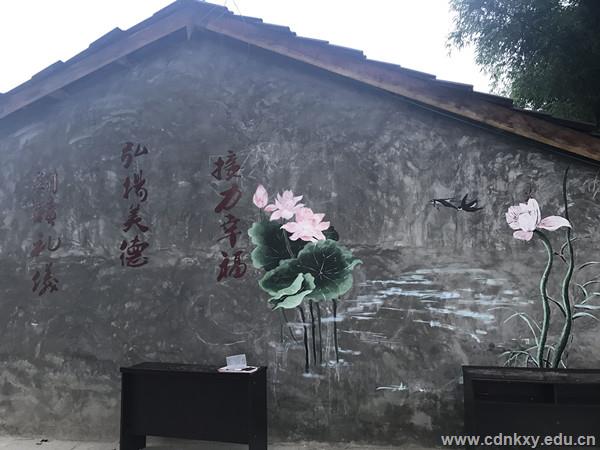 荷花.jpg