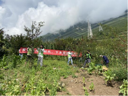 说明: http://www.cdnkxy.com/__local/3/73/57/8D0FFABD8044D74E9C68CD15B61_07BB6802_807BE.png