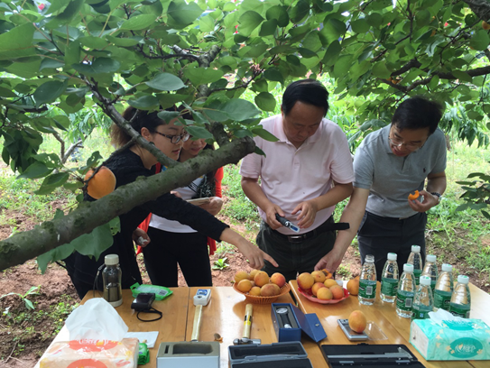 QQ截图20160606113141.png