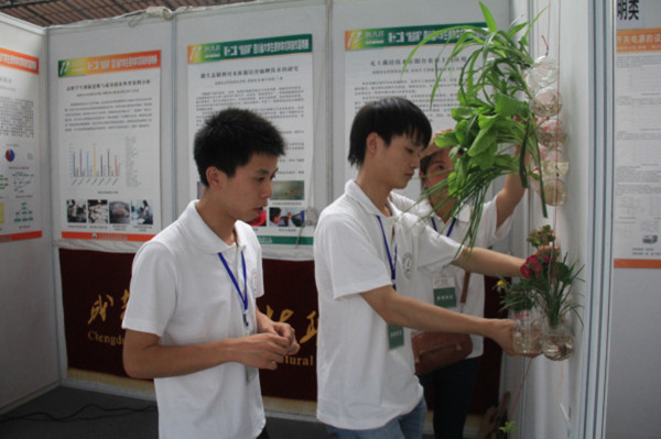 1我院参赛学生认真布展_副本.jpg