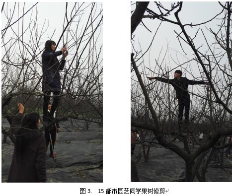 QQ截图20161229164724.jpg