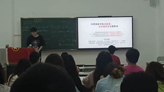 班会5