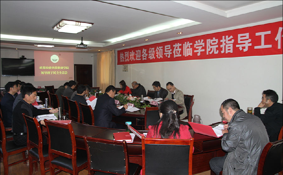 院领导班子民主生活会 图片3.png