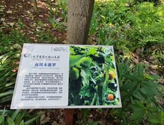 IMG_20230705_102633