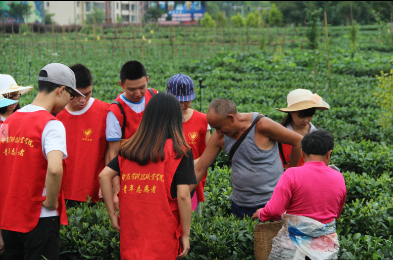 QQ截图20160711162819.png