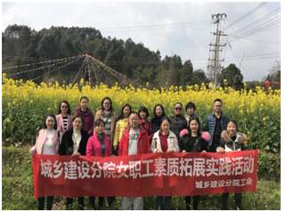 三八城乡.jpg