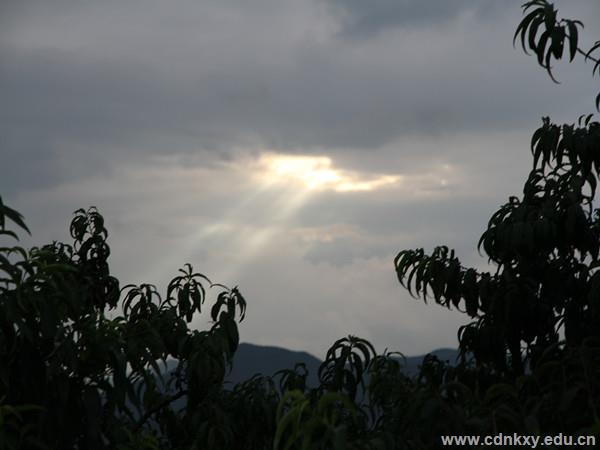 img_1011_副本.jpg img_1011_副本.jpg