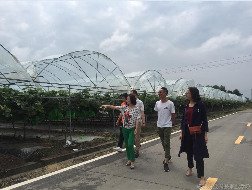 QQ截图20180611144513.jpg