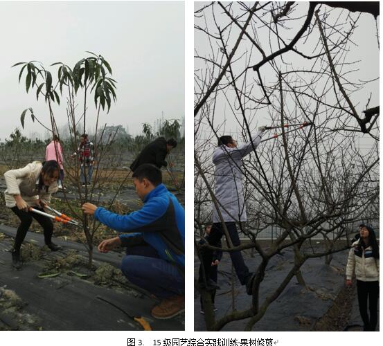 QQ截图20161229165430.jpg