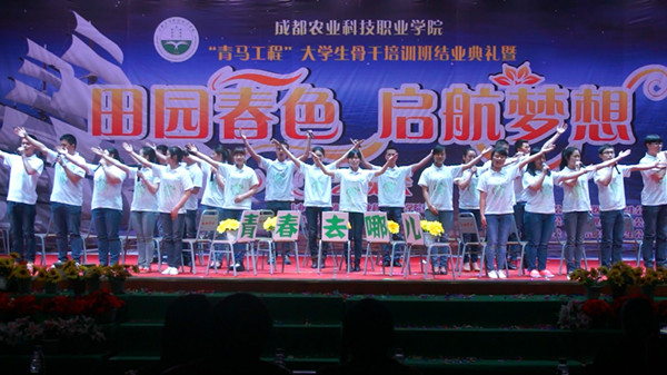 21青春去哪儿.jpg