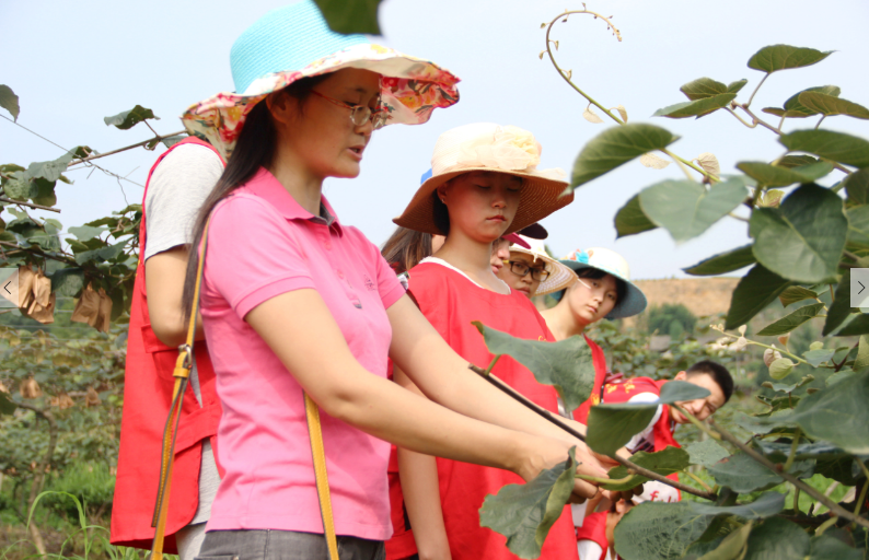 QQ截图20160711162813.png