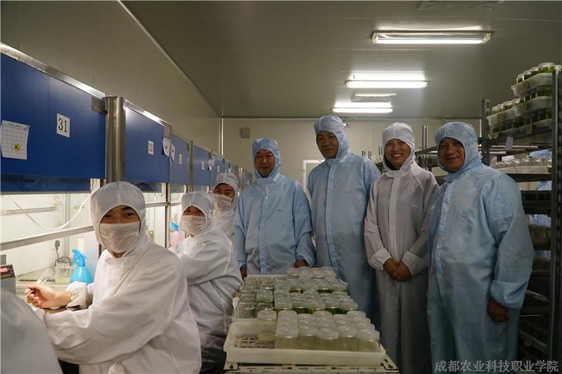 DSC08813_副本.jpg DSC08813_副本.jpg
