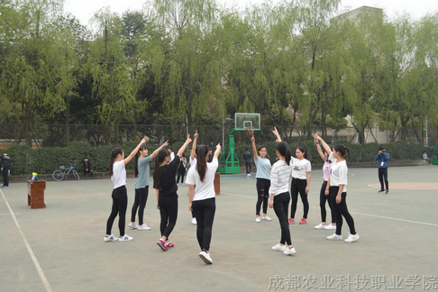 篮球嘉年华2.png