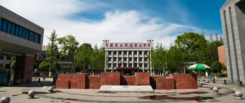 学院正门