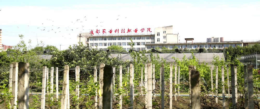 校园一景